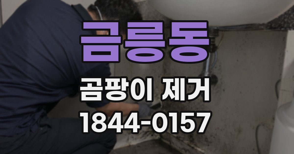 금릉동 곰팡이 제거