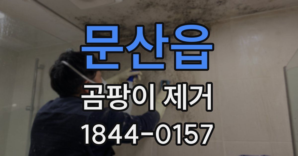 문산읍 곰팡이 제거