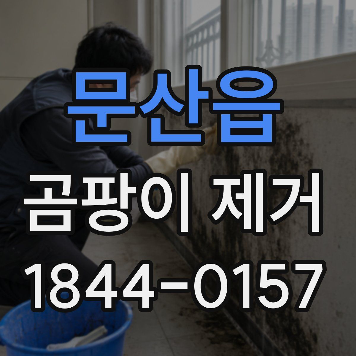 문산읍 곰팡이 제거