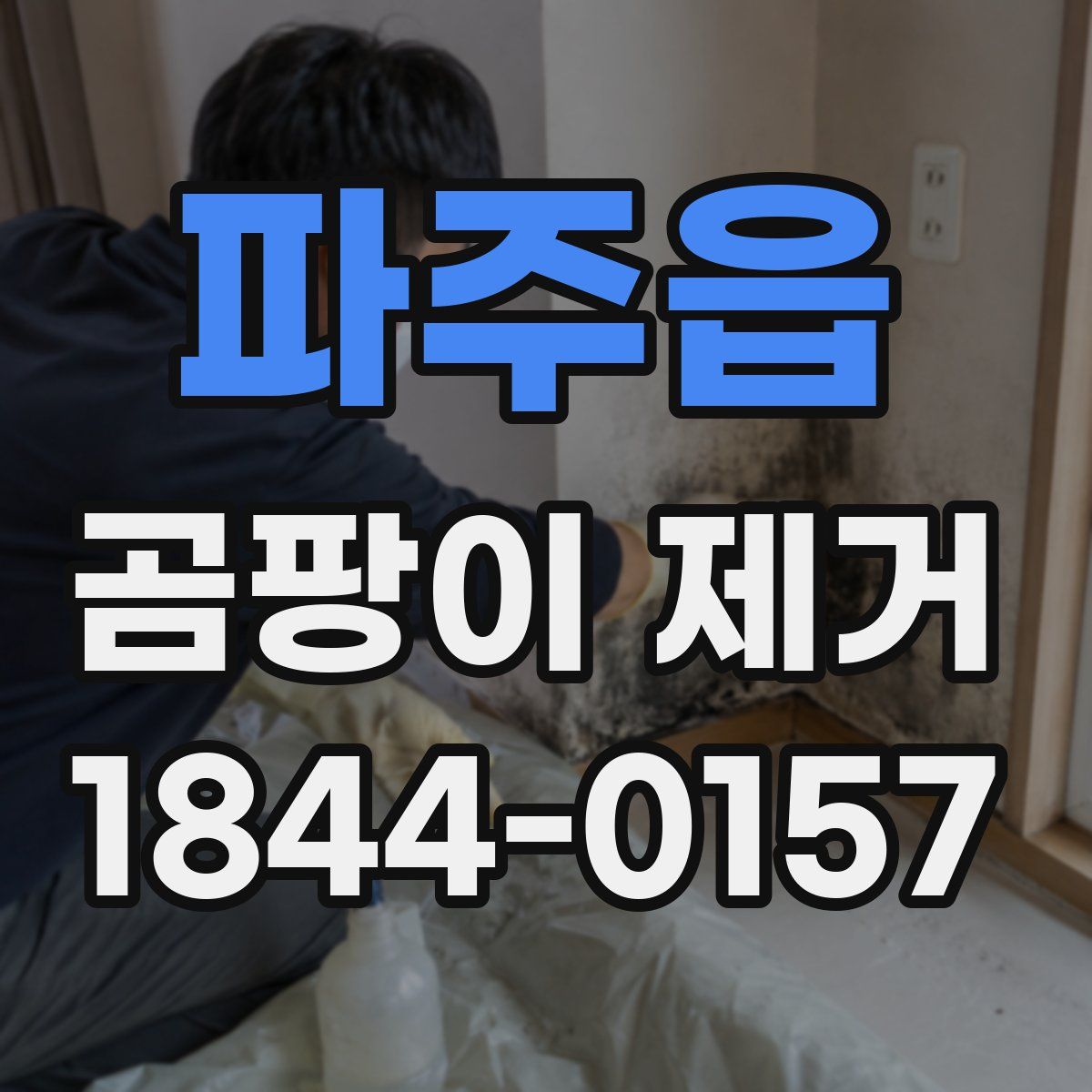 파주읍 곰팡이 제거