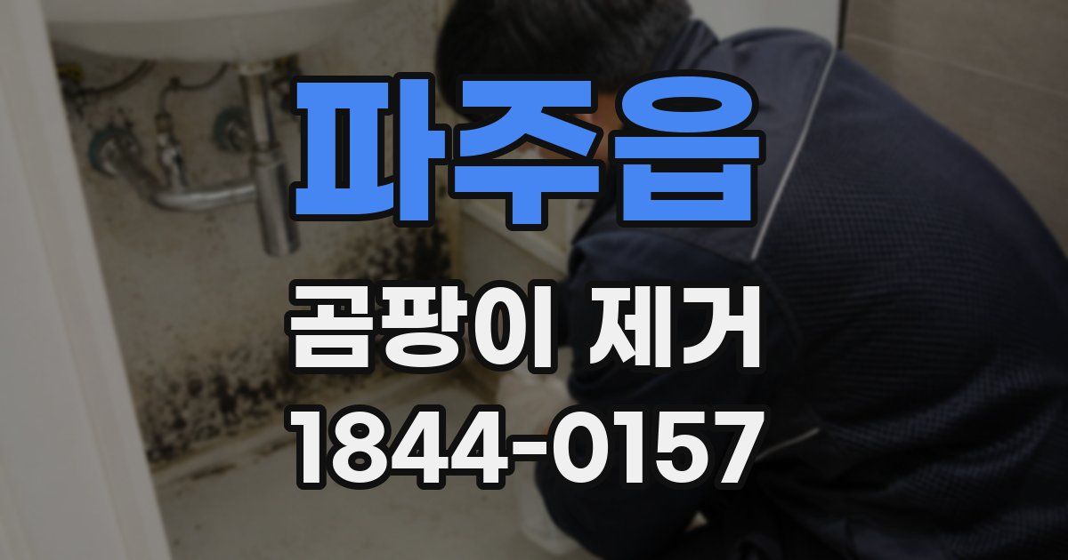 파주읍 곰팡이 제거