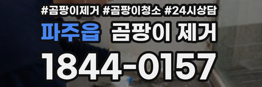 파주읍 곰팡이 제거