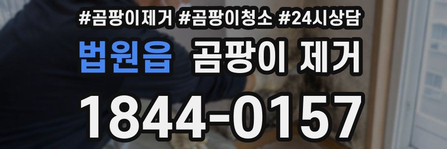 법원읍 곰팡이 제거