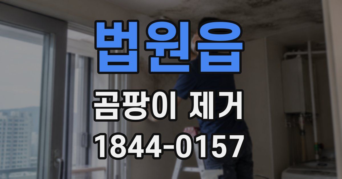 법원읍 곰팡이 제거