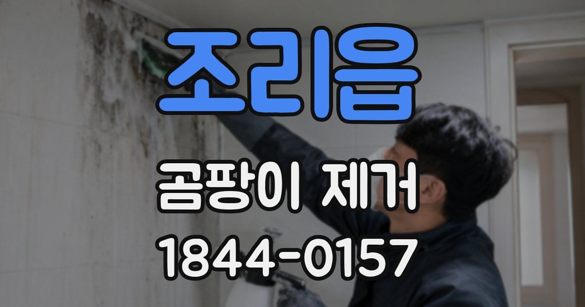 조리읍 곰팡이 제거