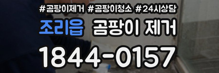 조리읍 곰팡이 제거