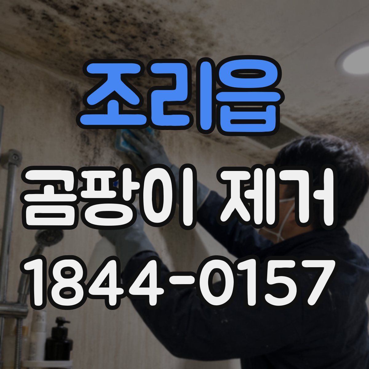조리읍 곰팡이 제거