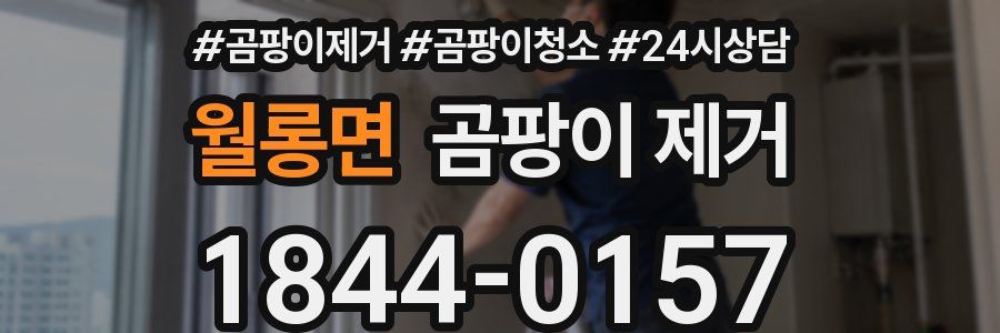 월롱면 곰팡이 제거