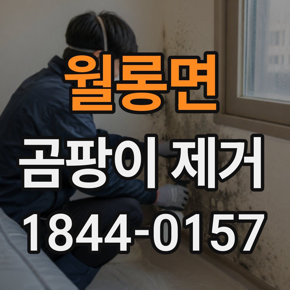 월롱면 곰팡이 제거