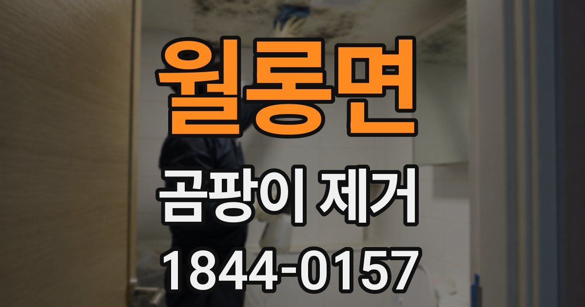 월롱면 곰팡이 제거