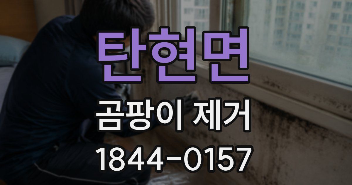 탄현면 곰팡이 제거