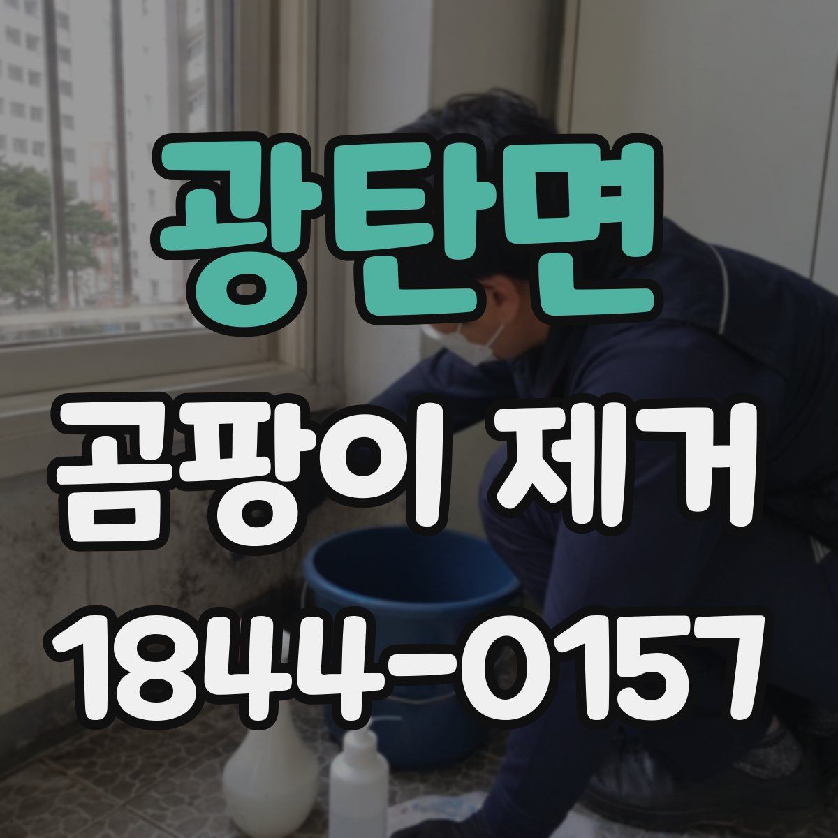 광탄면 곰팡이 제거
