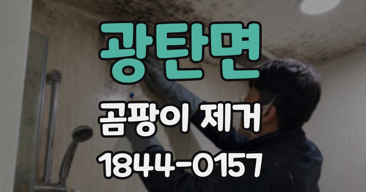 광탄면 곰팡이 제거