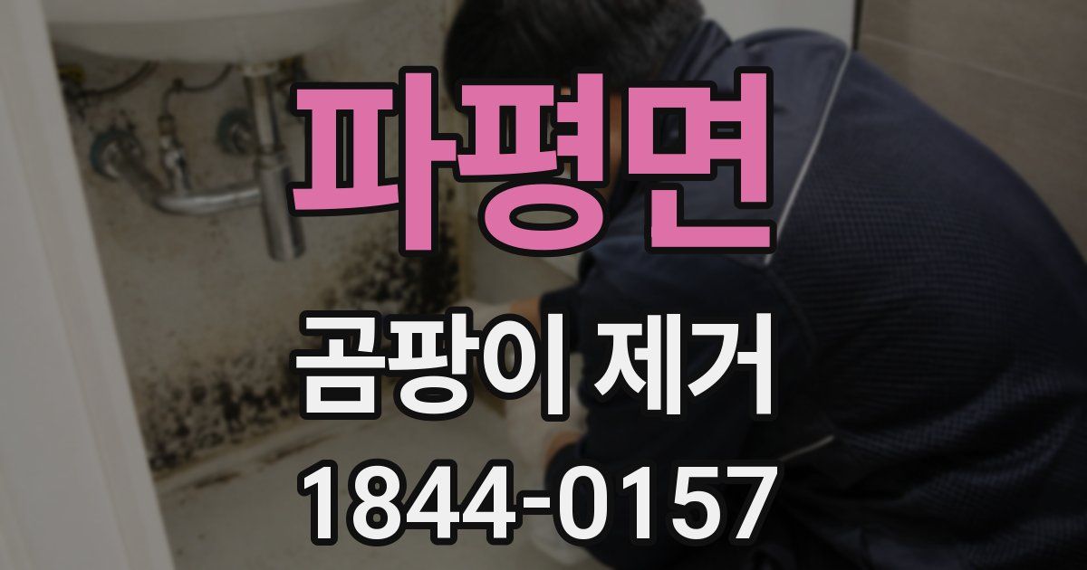 파평면 곰팡이 제거