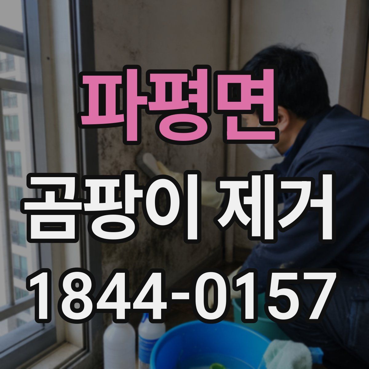 파평면 곰팡이 제거