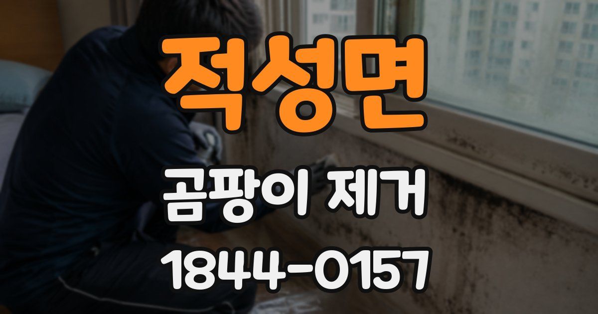 적성면 곰팡이 제거