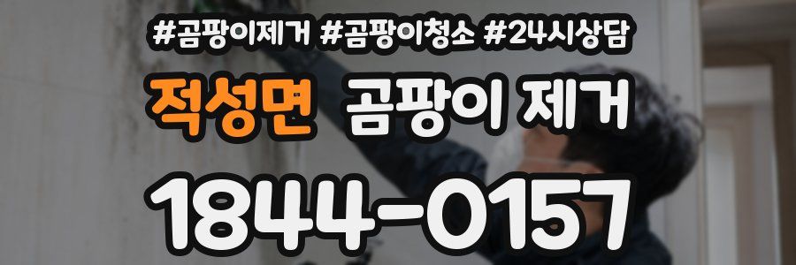적성면 곰팡이 제거