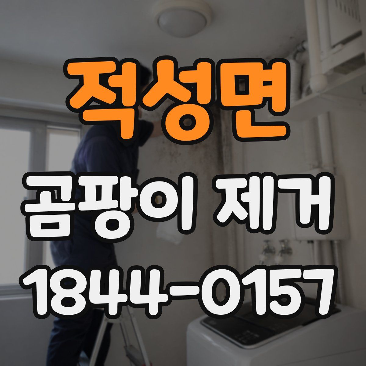 적성면 곰팡이 제거