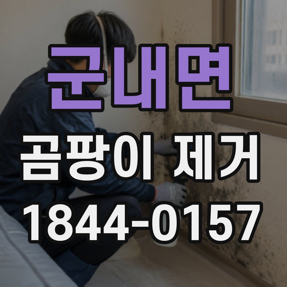 군내면 곰팡이 제거