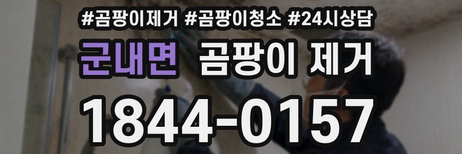 군내면 곰팡이 제거