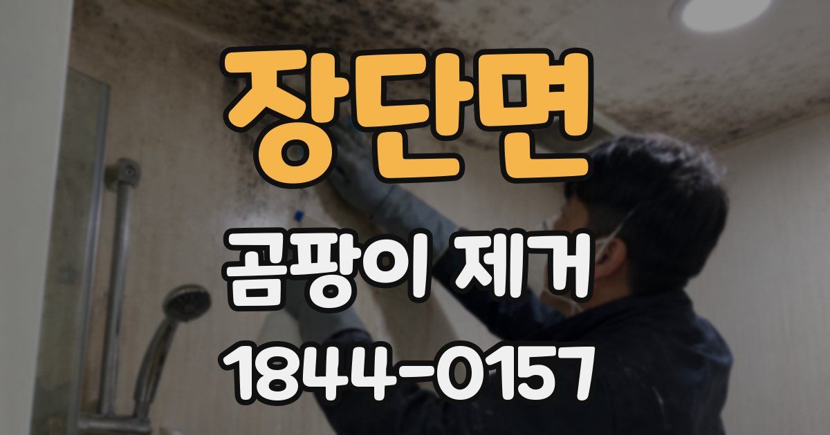 장단면 곰팡이 제거