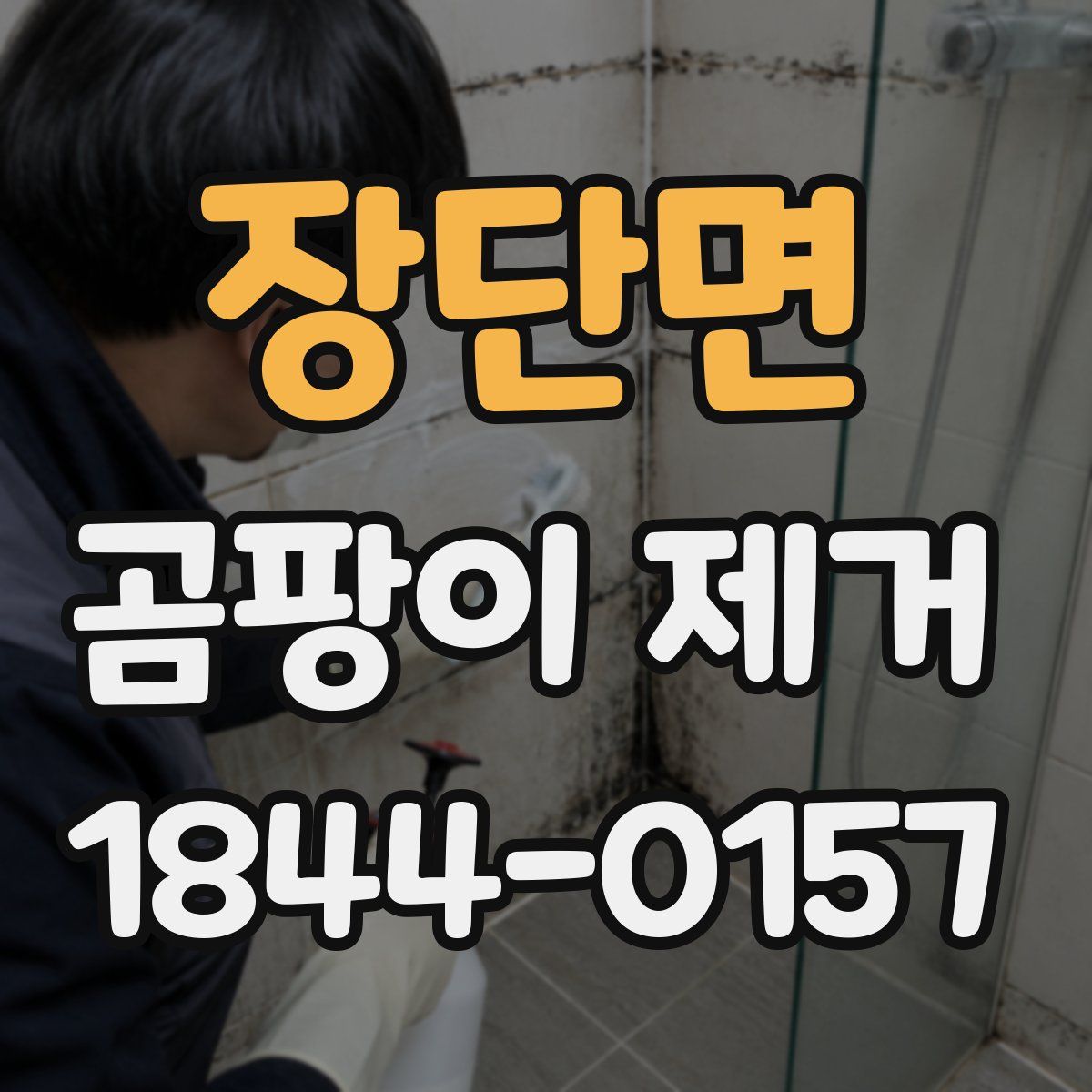 장단면 곰팡이 제거