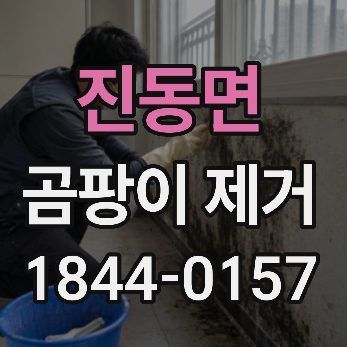 진동면 곰팡이 제거