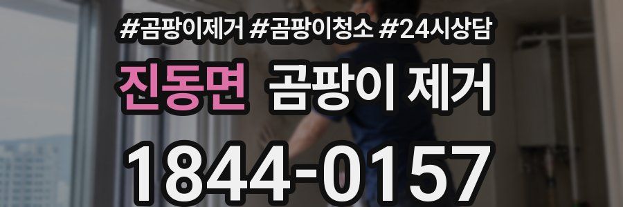 진동면 곰팡이 제거