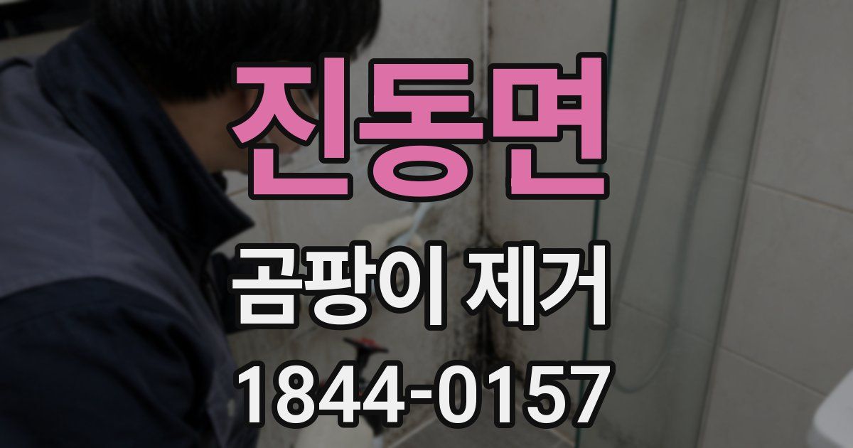 진동면 곰팡이 제거