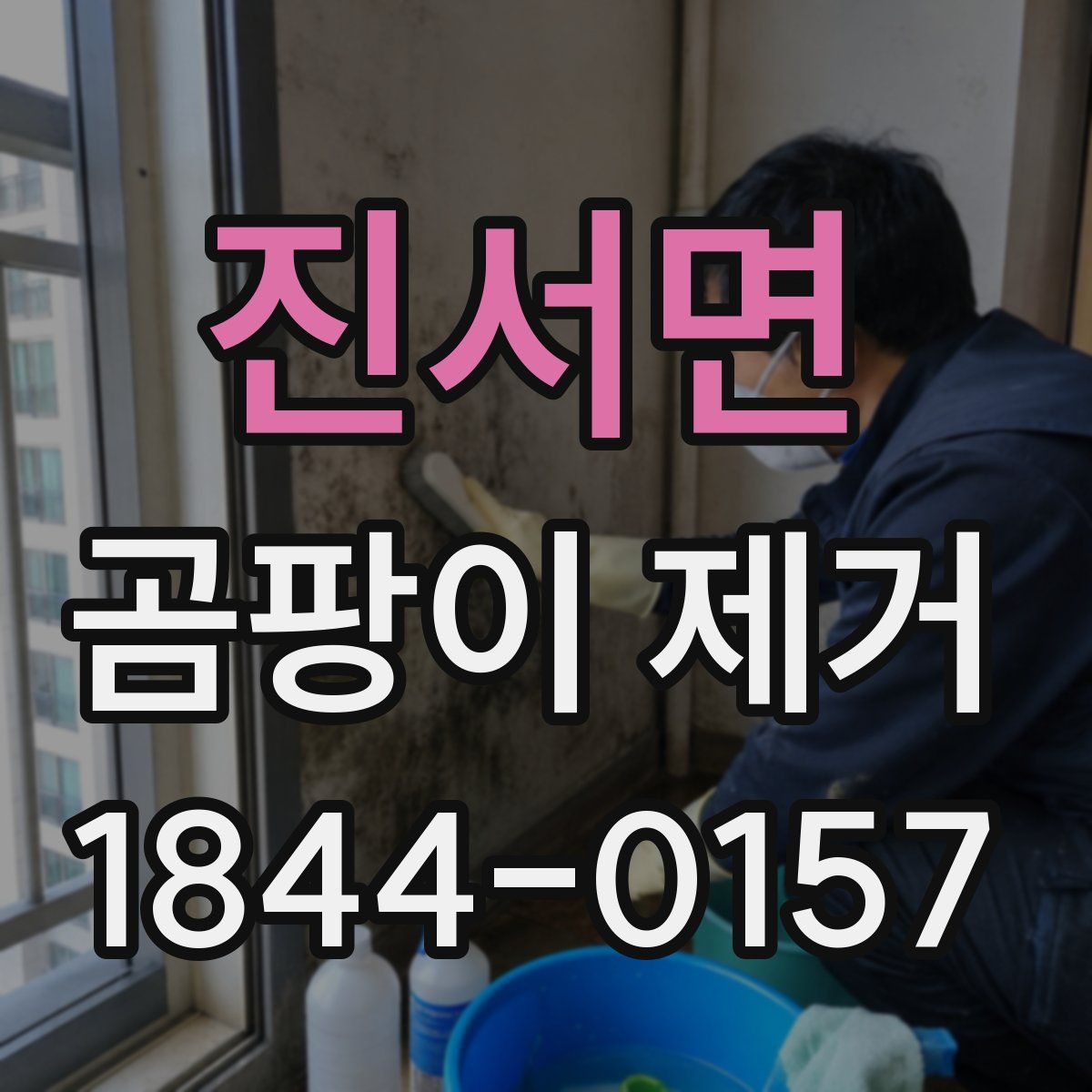 진서면 곰팡이 제거