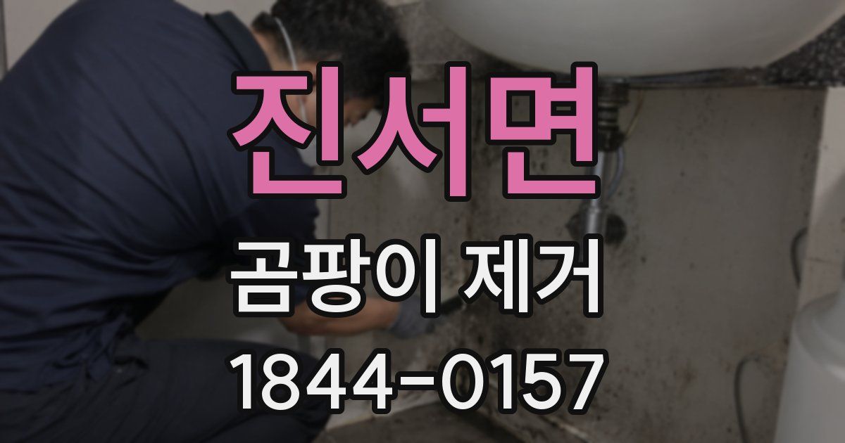 진서면 곰팡이 제거