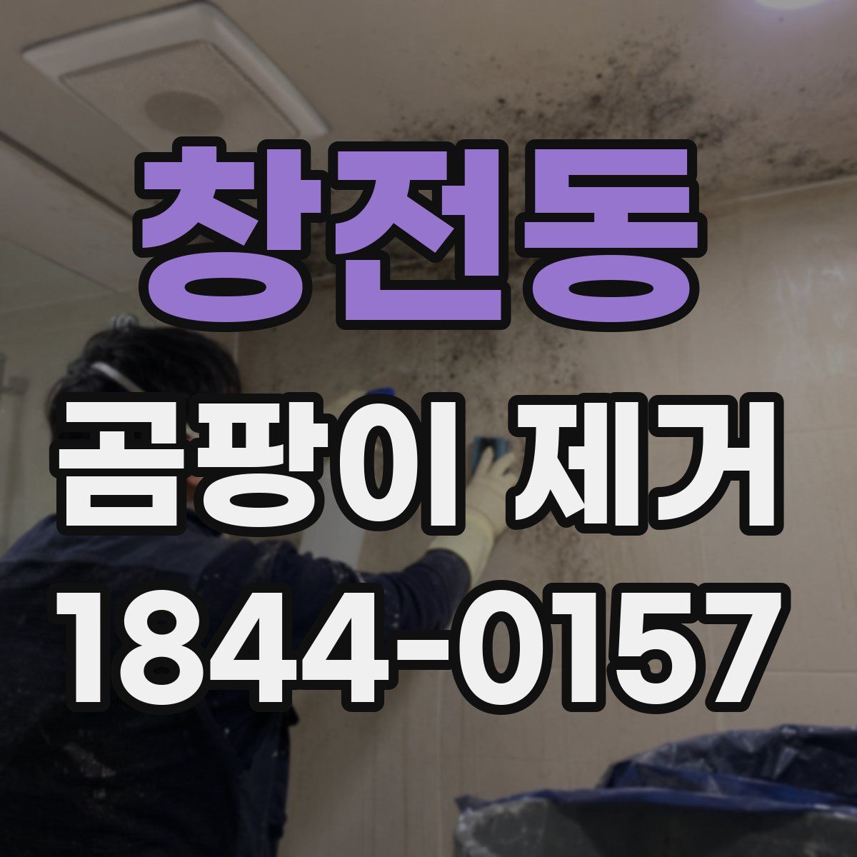 창전동 곰팡이 제거