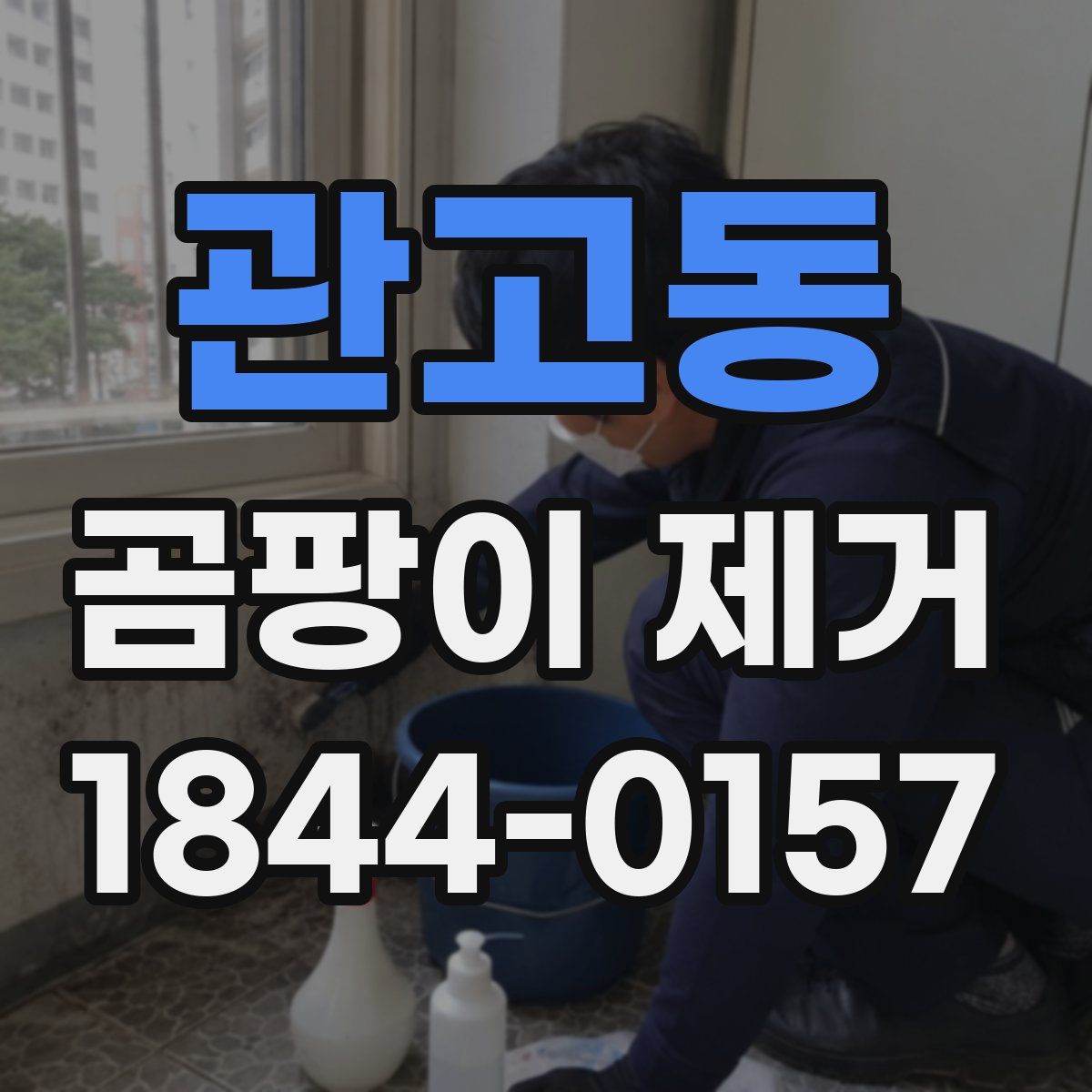 관고동 곰팡이 제거