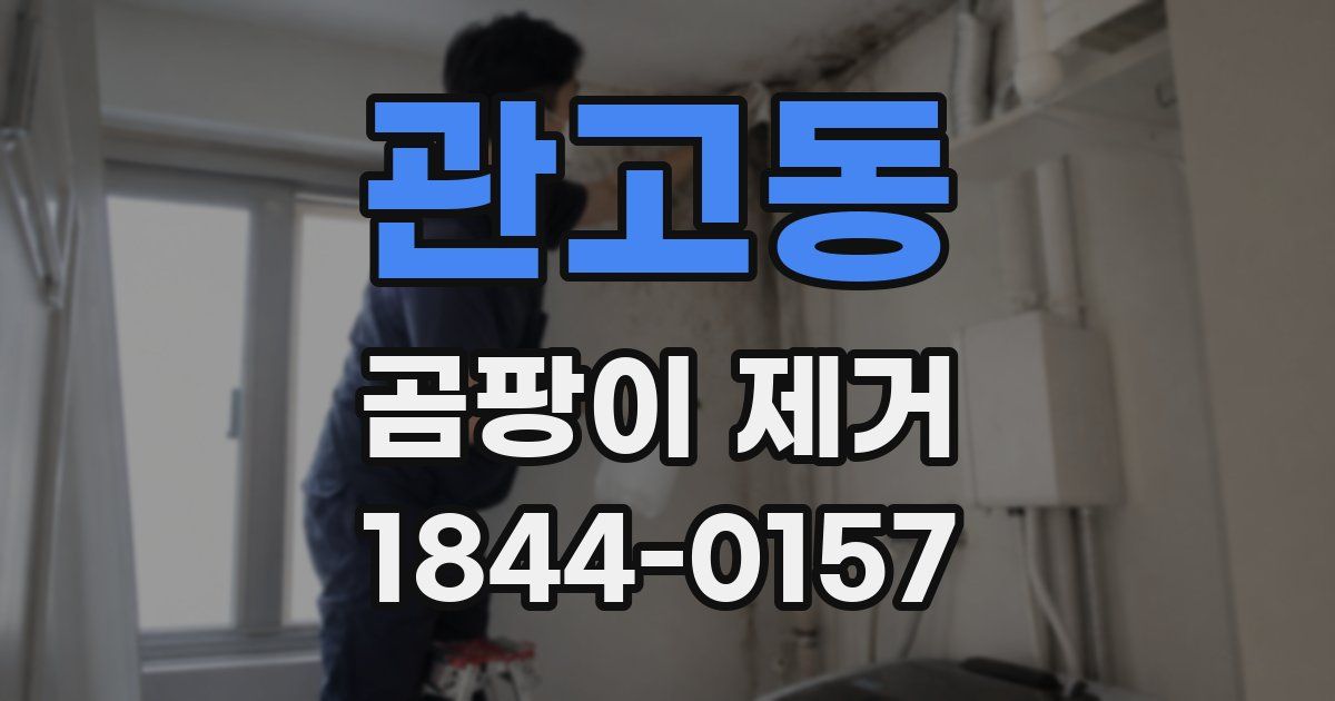 관고동 곰팡이 제거
