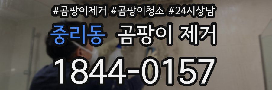 중리동 곰팡이 제거