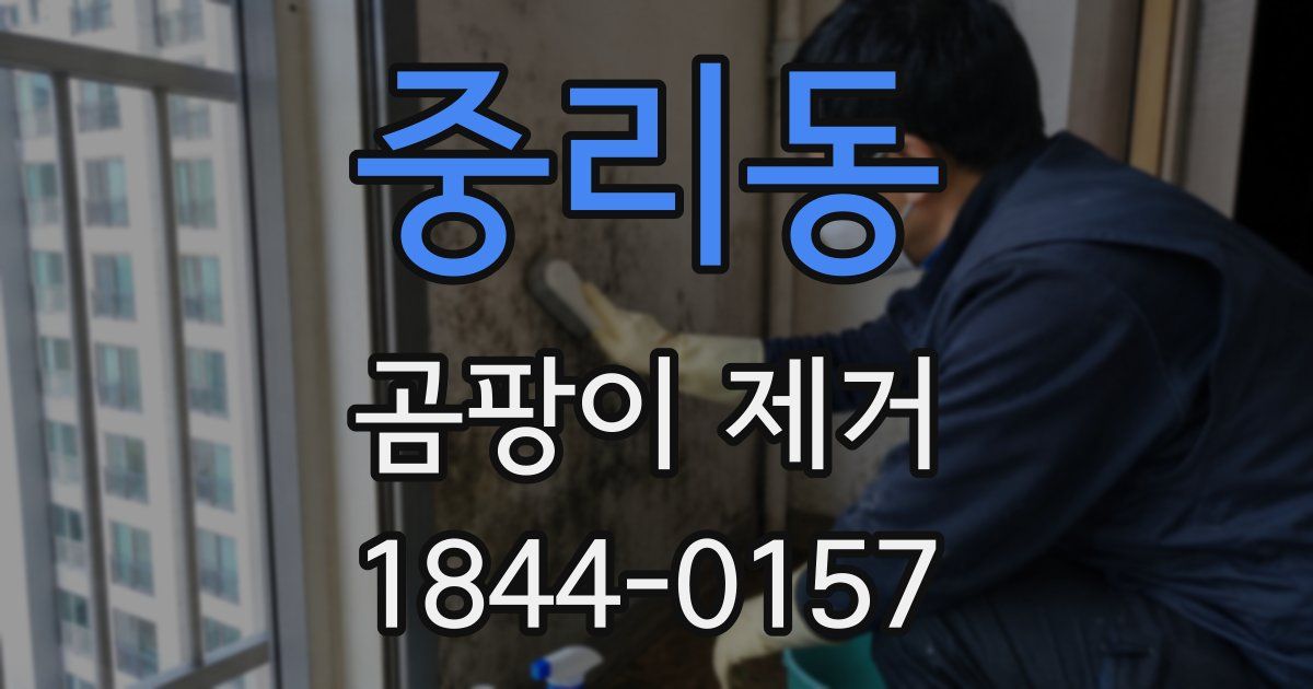 중리동 곰팡이 제거