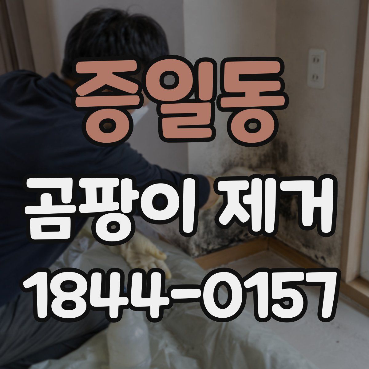 증일동 곰팡이 제거