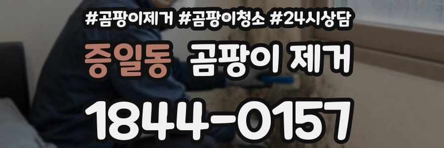 증일동 곰팡이 제거