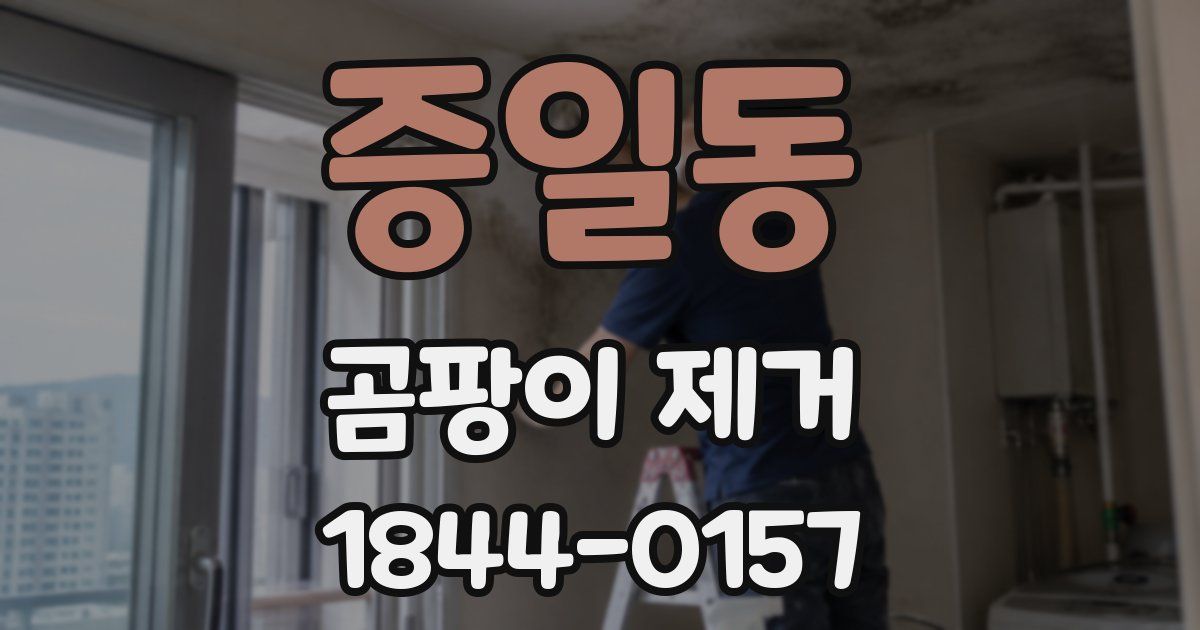 증일동 곰팡이 제거