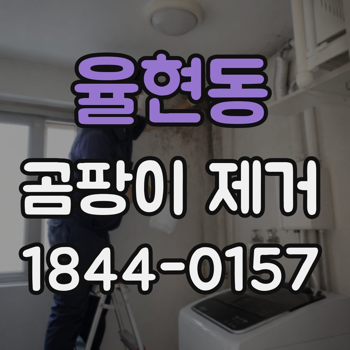 율현동 곰팡이 제거