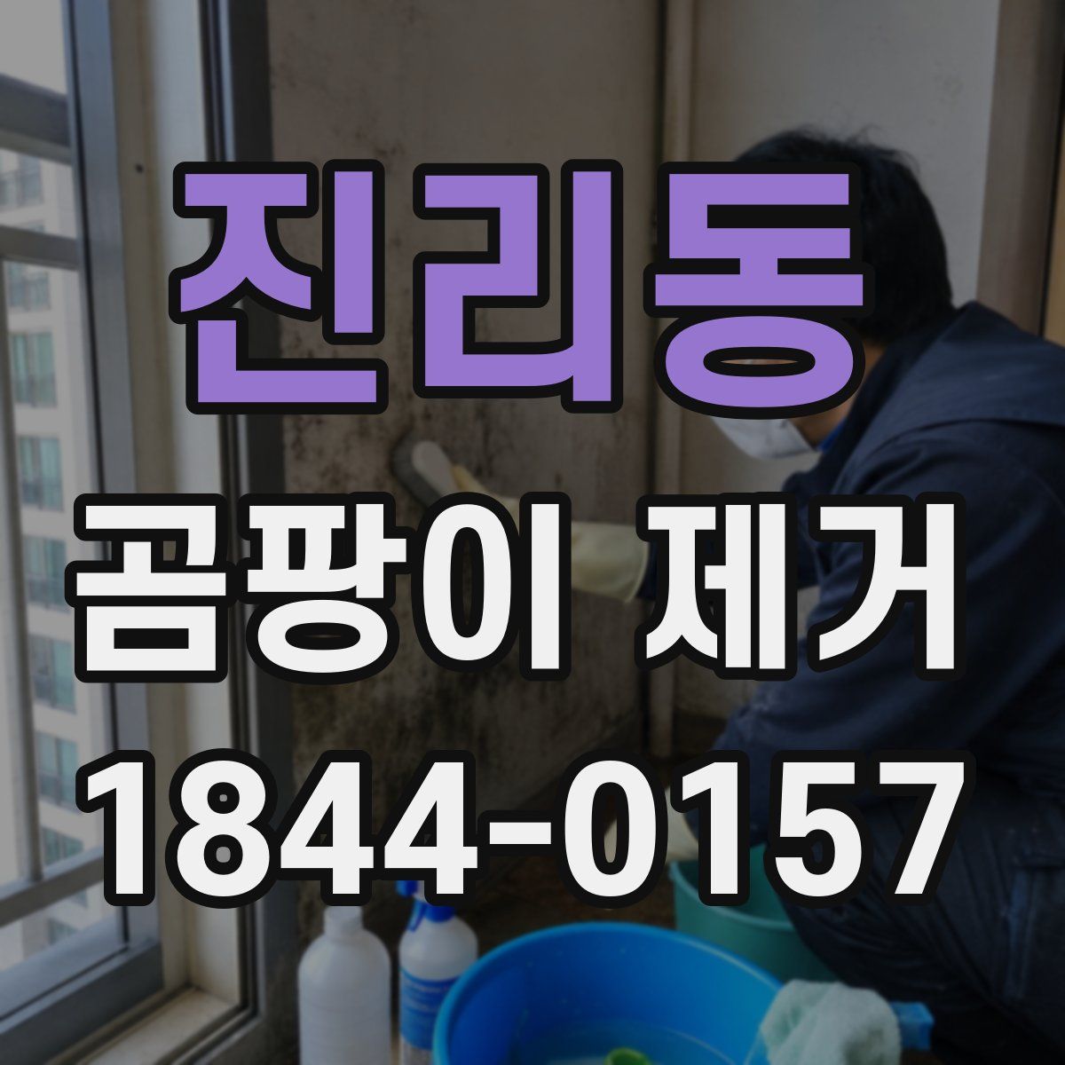 진리동 곰팡이 제거