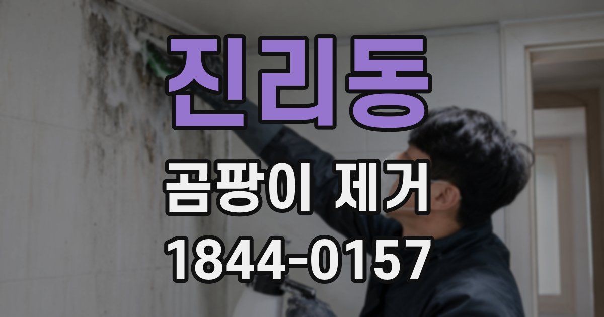 진리동 곰팡이 제거