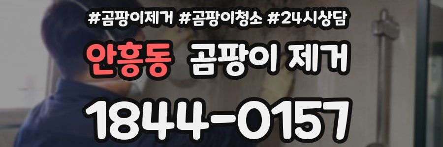안흥동 곰팡이 제거