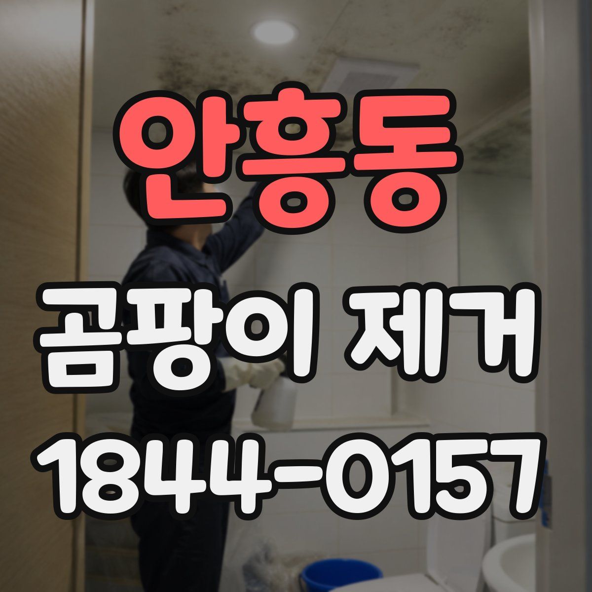 안흥동 곰팡이 제거