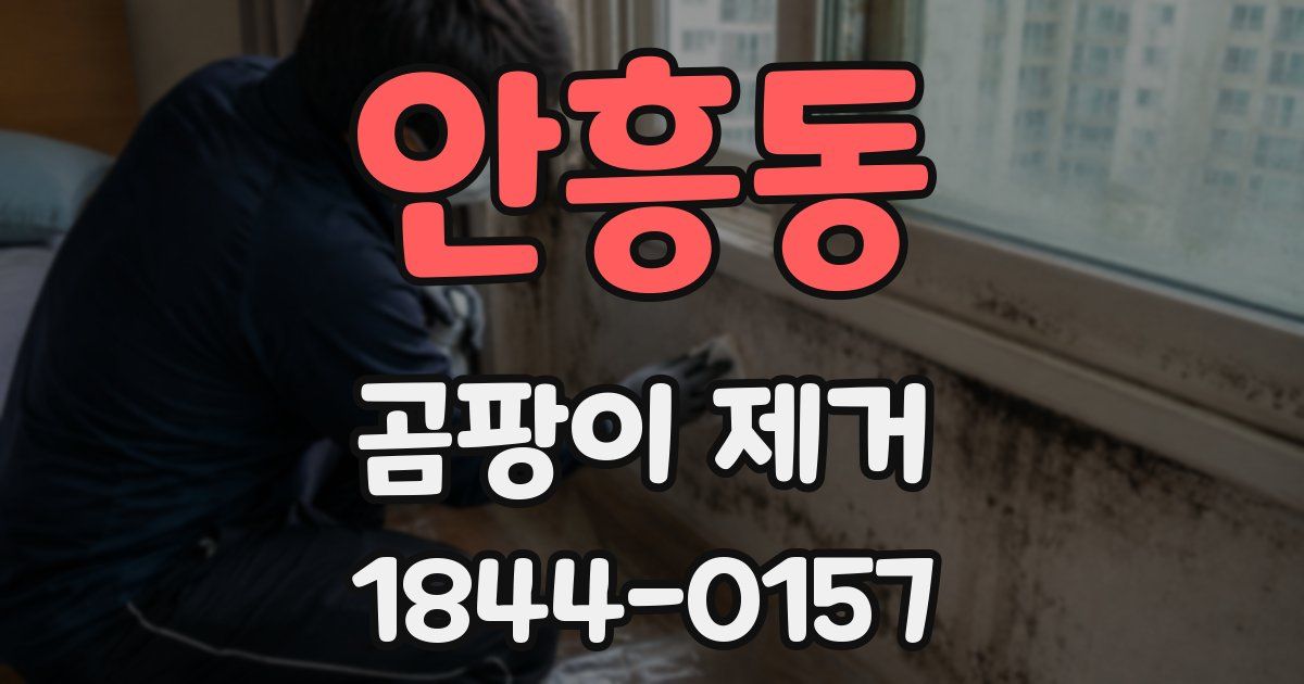 안흥동 곰팡이 제거