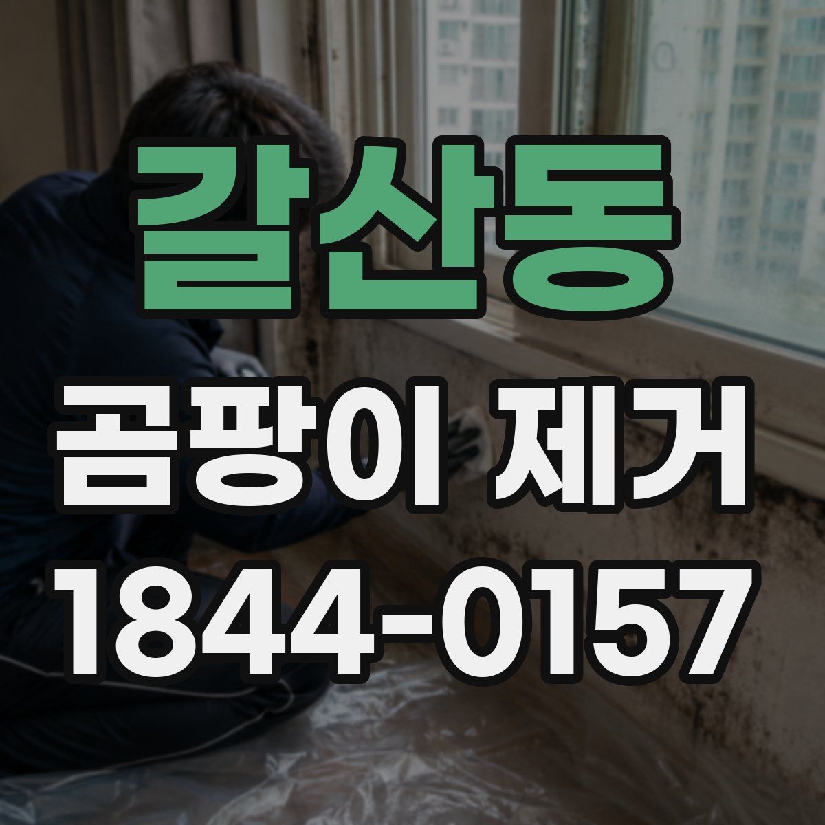 갈산동 곰팡이 제거
