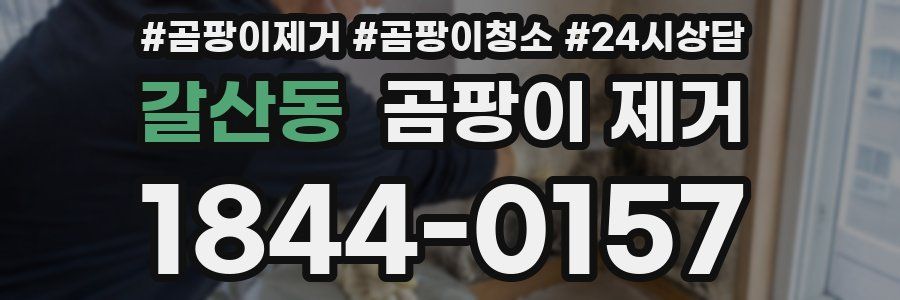 갈산동 곰팡이 제거
