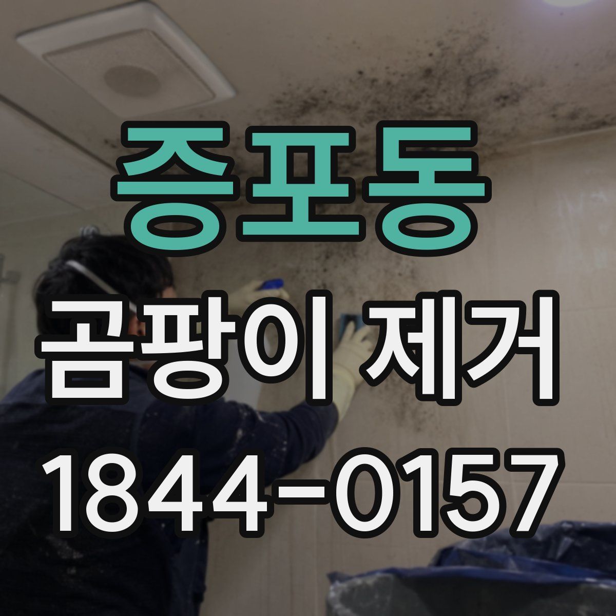 증포동 곰팡이 제거