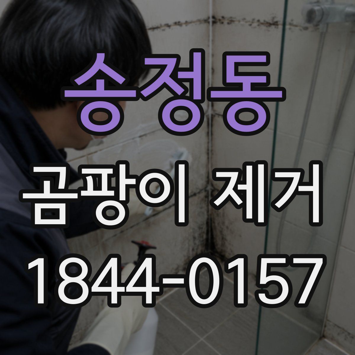 송정동 곰팡이 제거