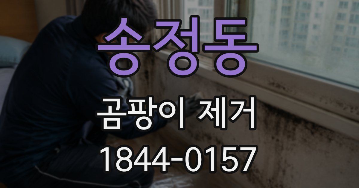 송정동 곰팡이 제거
